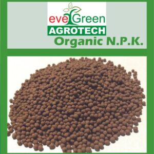 Argo Tech Evergreen Organic Bio Fertilizer Granules, Pe...