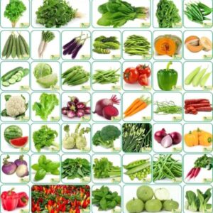 HYBRID All vagitable seeds 20+ variety highest yield Se...