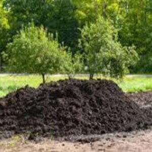AMF STORE Cow dunk compost, Organic & Natural Plant Nut...