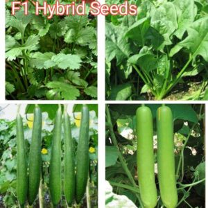 HYBRID Top 4 type vagitable crops seeds highest yield e...
