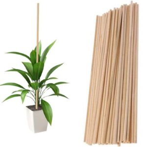 GREENARTZ 10pc wooden support sticks 24inches Plant Str...