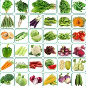 CYBEXIS 35 Varieties Vegetable Seeds 2500+ Seed