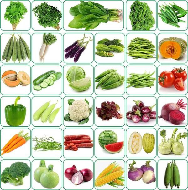 CYBEXIS 35 Varieties Vegetable Seeds 2500+ Seed
