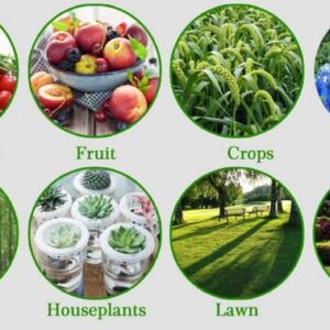 Nelgates All-Purpose Plant Fertilizer for a Thriving Ga...