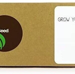 VibeX Mixed Trees - DIY Gardening Kit Seed