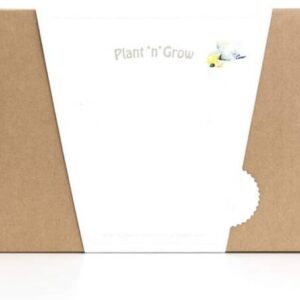 VibeX Corn - Complete DIY Gardening Kit Seed