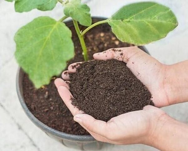 Varmicompost natural nutrinet-emrich fertilizer, eco-fr...