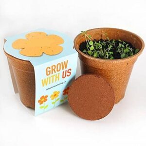 VibeX Mixed Vegetables - Complete Beginner Gardening Se...