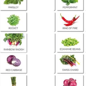 CYBEXIS Seeds for Planting Heirloom Seed