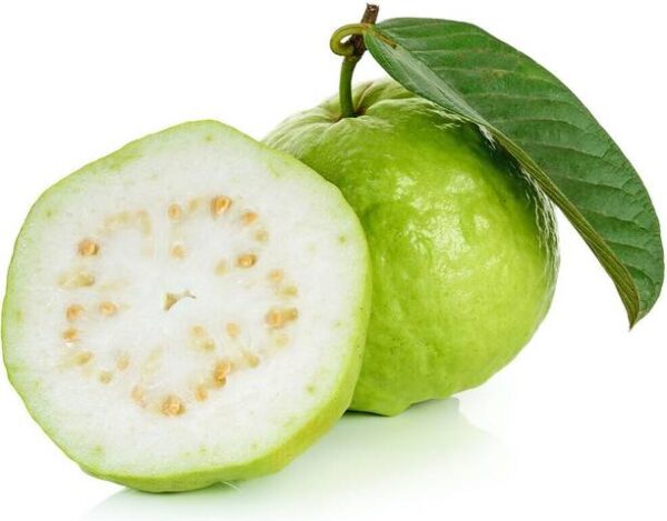 Bula Plant House Fresh Sweet Guava Fruit hybrid (High y...