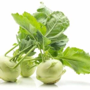 KANAYA Hybrid Knol Khol F1 Hybrid Vegetable Seed