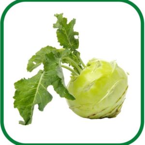 WILLVINE PUSA -XII Knol Khol F1 Hybrid Vegetable [10g] ...