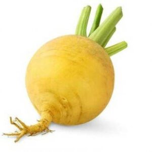 VibeX ® XLS-400 TURNIP YELLOW GOLD SEEDS Seed