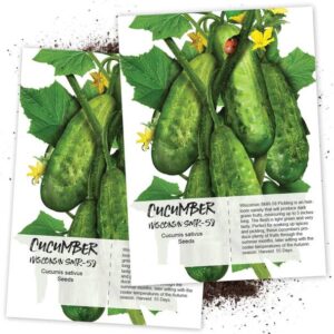 WILLVINE Non-GMO F1 HybridDesi Cucumber (Cucumis sativu...