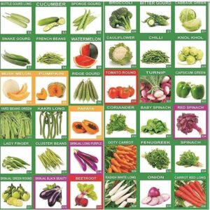CYBEXIS 36 Varieties (1685+ Seeds)(Organic/Hybrid) Frui...