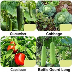 CYBEXIS 4-Varieties-F1 Hybrid Vegetable Seeds Combo See...