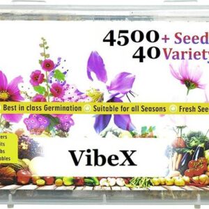 VibeX LXI-2-40-Varieties-F1 Hybrid Seeds Combo Set Seed