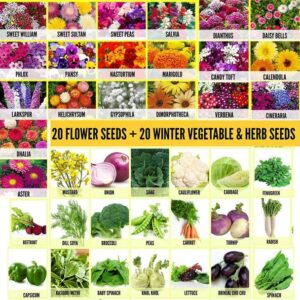 VibeX vegetable seed Seed