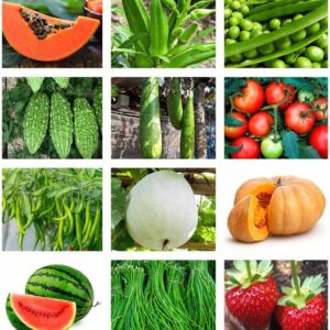 abiswas 12 Variety Vegetable Combo Pack for Garden - Fr...