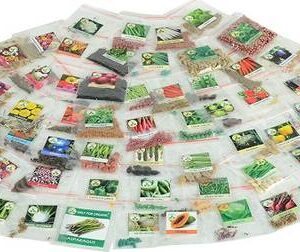 VibeX VXI-28-GIY Plant Seed Fast Grow Combo Seed