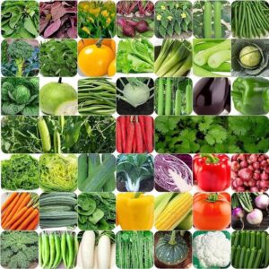 ibains Hybrid vegetable seeds Seed