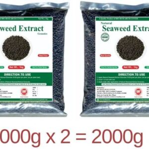 Bio Research Center Natural Seaweed Extract Granuals Ma...