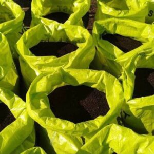 TRADITIONAL TRENDZZ XL-616 - Cow Manure Vermicompost Or...