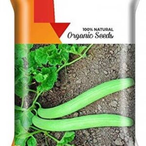 CYBEXIS GBPUT-10 - Long Melon (Very Long) - (1350 Seeds...