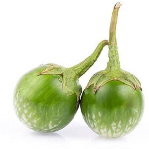 VibeX ATS-33 - Organic Hybrid Brinjal - (1350 Seeds) Se...