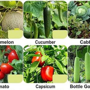 CYBEXIS 6-Varieties-F1 Hybrid Vegetable Seeds Combo See...