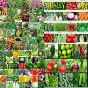 ibains Hybrid vegetable seeds 239 Seed