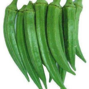 Cloud Farm High Yield Lady Finger Hybrid F1 Supreme See...