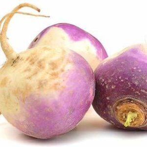 KANAYA Turnip (Shalgam ke Beej) Hybrid Vegetable Seed