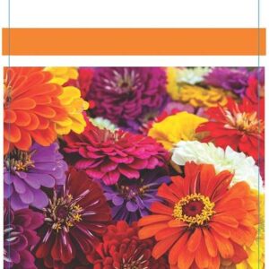 Qualtivate VXI-191 Zinnia Flowers Mix GMO-free Plant Se...