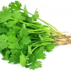 Coriander Leaves