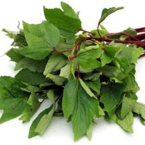 Gongura Leaves