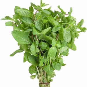 Namdhari's FRESH Mint Leaves