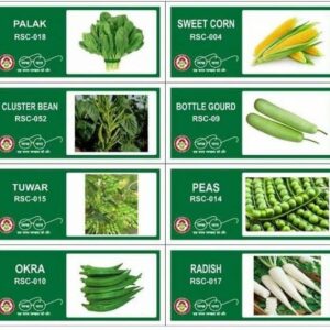 VibeX LXI-91-8-Varieties-Hybrid Vegetable Seeds Combo S...
