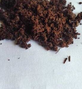 Woven 3kg of 100% Pure naturalP5 ORGANIC VERMICOMPOST /...