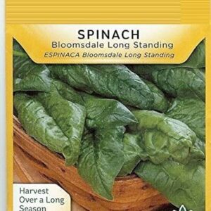 Qualtivate PAU-160 Spinach Seeds - Bloomsdale Long Stan...