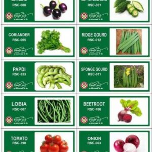 CYBEXIS 10-Varieties-Top Selling Vegetable Seeds Combo ...