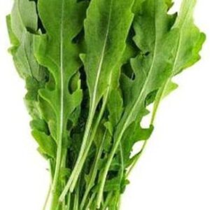 Arugula (Hydroponics)