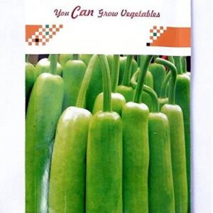 CYBEXIS Bottle Gourd Hybrid-50 Seeds Seed