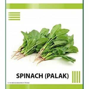 VibeX ™ XL-92 Gardening Palak Indian Spinach Seeds-50 S...