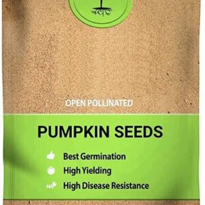 WILLVINE LXI-233 Open Pollinated Pumpkin Seeds Seed