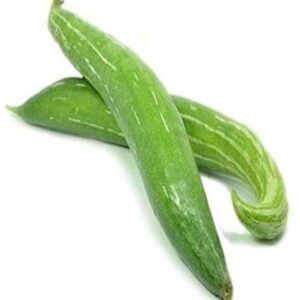 WILLVINE Snake Gourd Seeds - High Yield Vegetable[500 G...