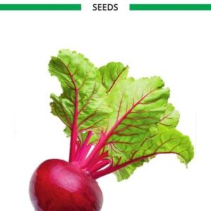 ActrovaX PURPLE TURNIP SHALGAM 100% ORGANIC F1 HYBRID [...