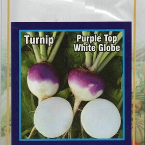 VibeX ™ XLS-107 VEGETABLE SEEDS PURPLE TURNIP SHALGAM 1...