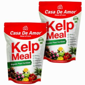 Casa De Amor Kelp Powder | Pure & Natural | Suitable Fo...