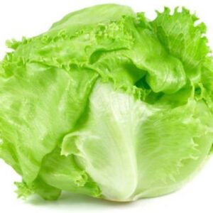 Lettuce Iceberg